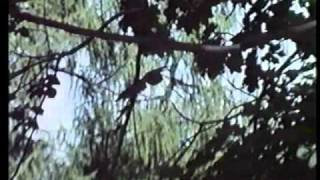Отцы и дети. Ведущий - К.Кедров