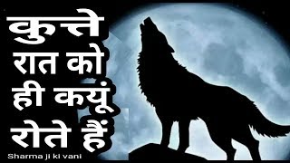 कुत्ते रात में क्यूं रोते हैं जानिये पूरा सच | why dogs cry at night | Sharma ji ki vani