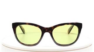 Ray-Ban×TALEX カスタムサングラス製作例 RB4216 【360°】