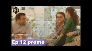 Meri Nanhi Pari Episode 12 (Promo) - Top Pakistani Drama