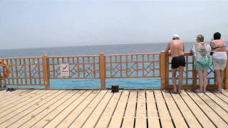 Sunwing Waterworld Makadi 5*.Пирс.