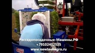 Посадка рассады томатов помидор рассадопосадочная машина F MAX  Ferrari