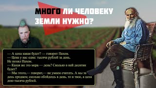 #111. Занимательная математика: много ли человеку земли нужно?