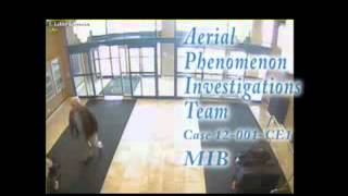 HOAX/SCAM: Aerial Phenomenon Investigations (API) and Men in Black (MIB)