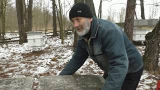 ЗИМНИЙ ОСМОТР ПЧЁЛ. В КАКИХ СЛУЧАЯХ.