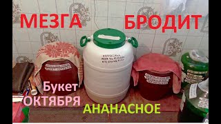 БРОЖДЕНИЕ МЕЗГИ проходит в нормальном режиме
