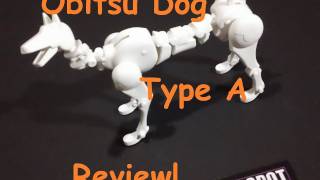 Obitsu 1/6 Dog Review!