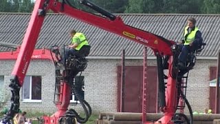 Лес: юбилей Бабаевского леспромхоза