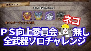 【参加型・要概要】1/22片手剣の日　ＭＲ200クエスト新大陸の狩人達よネコ無しソロ練習　参加型装飾品・導きの地　ＭＨＷＩＢアイスボーン