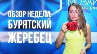Катя в неформате: обзор новостей за неделю (14 07 2017)