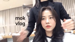 [RAERAE_Vlog] 레레의 휴일 / 2년만에 염색 했어요! / 저랑 미용실 함께가요(FEAT. 차홍룸이우주 )