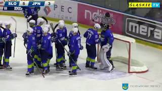 Slovenia - Japan 5:3