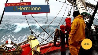 [Carnet de Voyage Hermione] #34 - Avis de grand frais