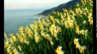 МУЗЫКА ВЕСНЫ. Music Sergey Chekalin. MUSIC OF SPRING.