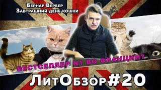 КОТ-ФИЛОСОФ И КОШКА-ШЛЮШКА // ЗАВТРАШНИЙ ДЕНЬ КОШКИ (Бернар Вербер)
