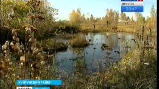 Пьяный отец потерял 3-летнего сына в лесу Куйтунского района, "Вести-Иркутск2