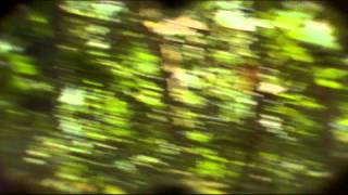 Reklama piwa Żubr - Żubr odpowiada każdemu [Żubr official] 2009