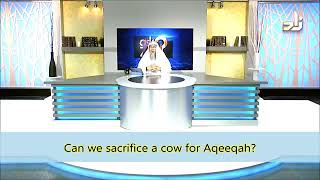 Aqeeqah: Can we sacrifice a Cow for the Aqeeqah? - Sheikh Assim Al Hakeem