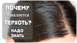 Почему появляется перхоть?