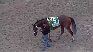Fountain of Youth Stakes (G2) | 2015 Kentucky Derby Prep