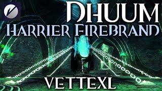 Guild Wars 2 Raid - Dhuum - Harrier Firebrand