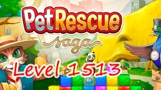 Pet Rescue Saga Level 1513 (NO BOOSTERS)