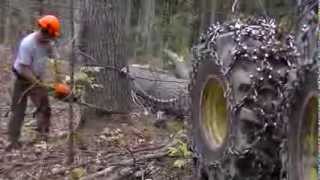 Wescott Logging - Cutting Some Pine