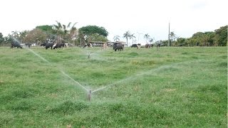 Curso Manejo de Irrigação - Quando e Quanto Irrigar - Cursos CPT
