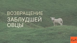 Вовк Андрей - Возвращение заблудшей овцы