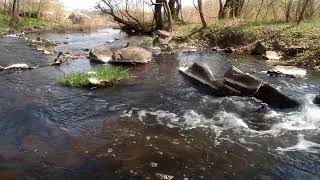 Футаж.  Лесной ручей .Шум воды. Ручей с камнями .Журчание воды в ручейке.Старый мост