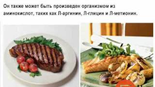 Креатин - Спортивное питание - Путеводитель: часть 3