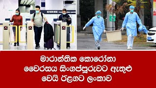 මාරාන්තික කොරෝනා වෛරසය සිංගප්පූරුවට ඇතුළු වෙයි ඊළගට ලංකාව