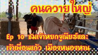 คนควายใหญ่ Ep 10 ชมเจ้าหยกจูเนียร์และเจ้าเพื่อนแก้ว เมืองหนองหาน