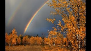 ЗОЛОТАЯ ОСЕНЬ. Александр Харадуров. Авторская песня. Клип - Ирина Жукова-Каменских.