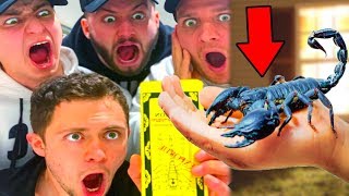 THE SCORPION PRANK FROM HELL (priceless reactions)