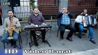 Formația Dumitru Teleagă Meka || Joc de doi || Rugă Costeiu 2019 4k