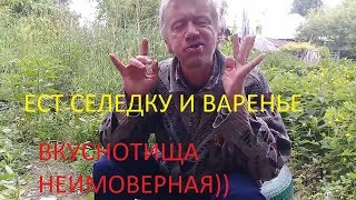 На что готов мужик ради 300 руб | Ест селедку с вареньем | Вкуснотища неимоверная )