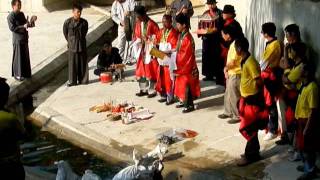 2011井欄樹安龍清醮︰放生３／５
