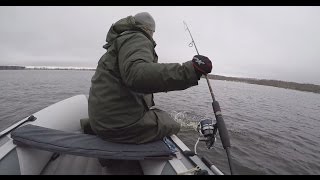 Попытка поймать щуку 23 февраля 2017
