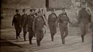 Battalion of Death