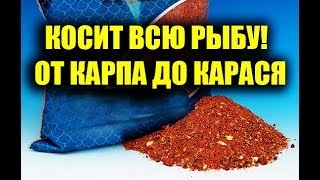 ПРИКОРМКА, КОСИТ ВСЮ РЫБУ, СВОИМИ РУКАМИ ДЛЯ РЫБАЛКИ НА КАРАСЯ,КАРПА,ЛЕЩА И ПЛОТВУ,ПРИКОРМКА АРАХИС