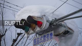 Japan: Snow piles up in Hikone after winter storm hits parts of country