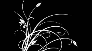 Футажи Рисующиеся узоры-Florish 5 штук - Footage painting patterns 5 pieces )))) Flourish 11