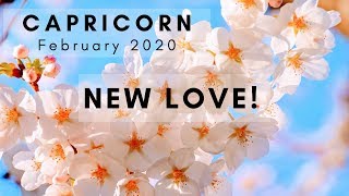 CAPRICORN: New Love!  February 2020