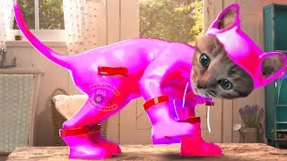 ПРИКЛЮЧЕНИЕ МАЛЕНЬКОГО КОТЕНКА мультфильм про котят мультик для детей и малышей мультики на #ММ