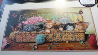 Котята в корзине. СП " Мой любимый Дименшенс" От Аллы Белочки. Отчет №1