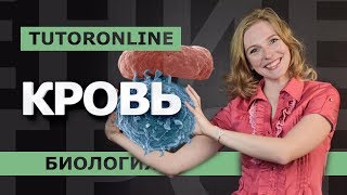 Биология| КРОВЬ