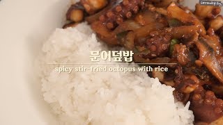 [ENG] 한그릇음식~ 매콤한 요리! 문어덮밥 만들기?spicy stir fried octopus with rice recipe!