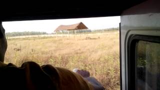 BANGABANDHU SHEIKH MUJIB SAFARI PARK,GAZIPUR,BANGLADESH/ANWAR 007
