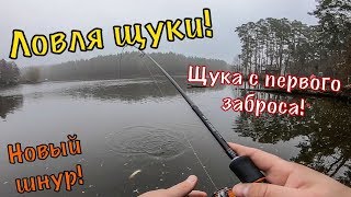 Ловля щуки осенью в туман! Поймал ЩУКУ с ПЕРВОГО заброса!